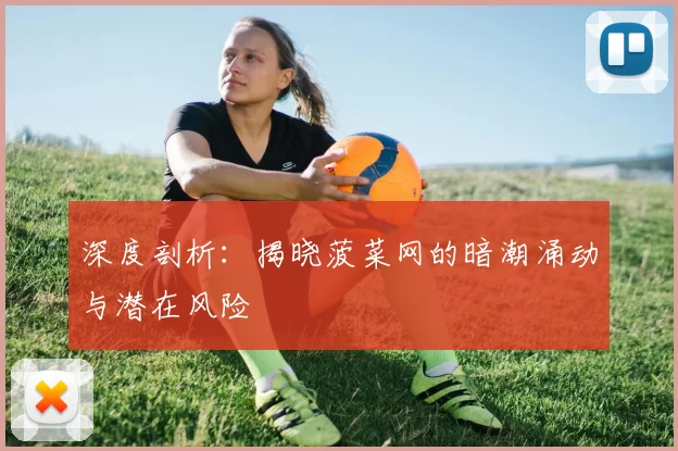 深度剖析：揭晓菠菜网的暗潮涌动与潜在风险