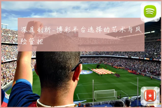 深度剖析_博彩平台选择的艺术与风险管控