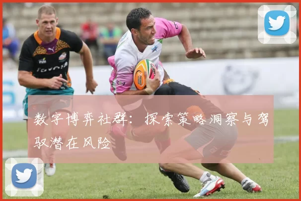 数字博弈社群：探索策略洞察与驾驭潜在风险