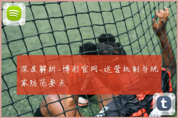 深度解析_博彩官网_运营机制与玩家防范要点