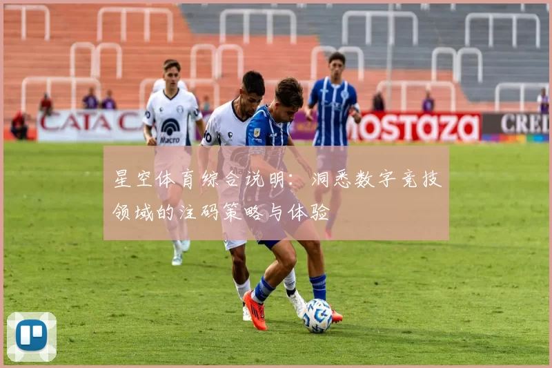 星空体育综合说明：洞悉数字竞技领域的注码策略与体验