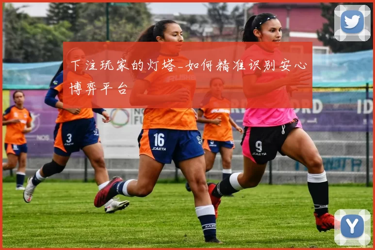 下注玩家的灯塔_如何精准识别安心博弈平台