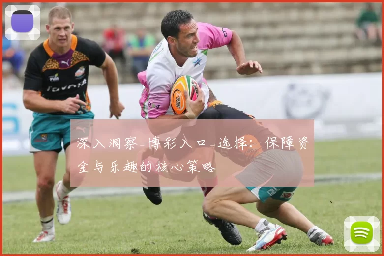 深入洞察_博彩入口_选择：保障资金与乐趣的核心策略