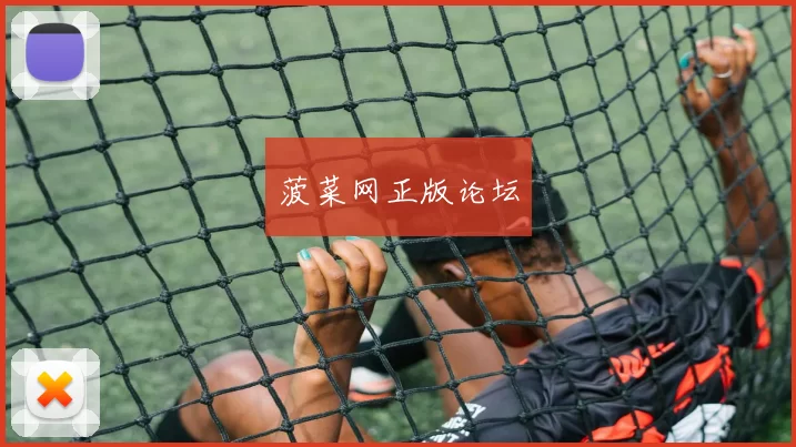 菠菜网正版论坛
