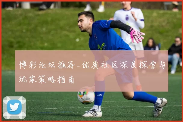 博彩论坛推荐_优质社区深度探索与玩家策略指南