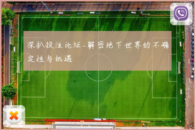 深扒投注论坛_解密地下世界的不确定性与机遇