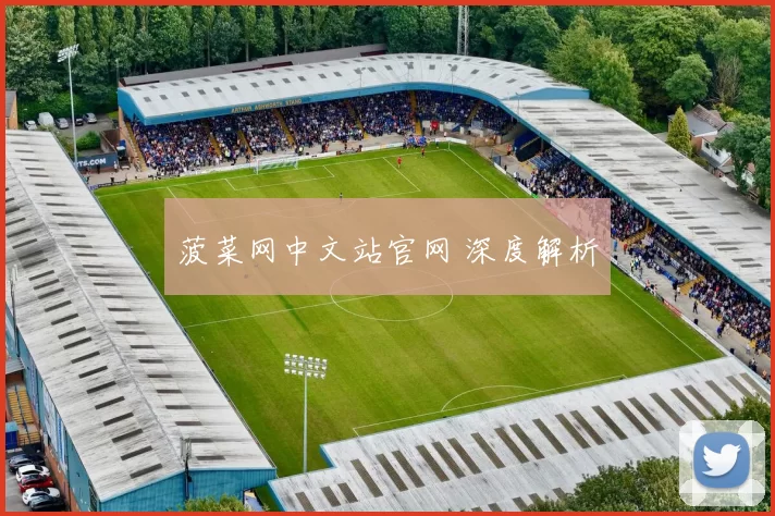 菠菜网中文站官网 深度解析