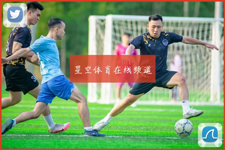 星空体育在线频道