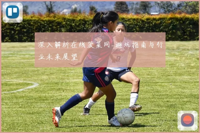 深入解析在线菠菜网_避坑指南与行业未来展望